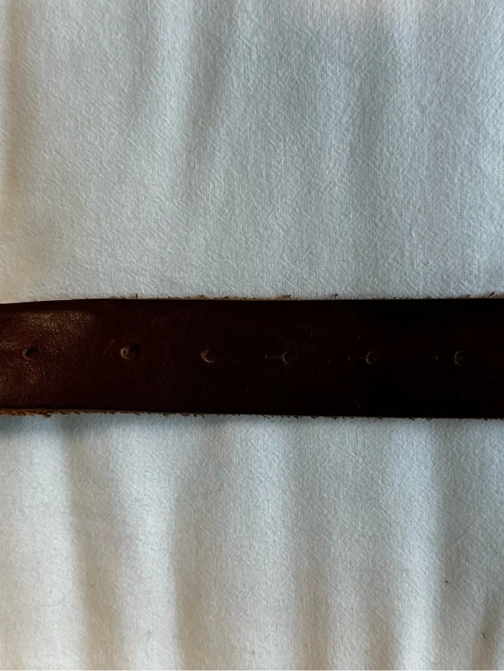 Just Cavalli Brown Leather Logo Belt Gold Buckle